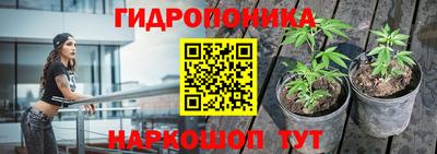 a pvp Пугачёв