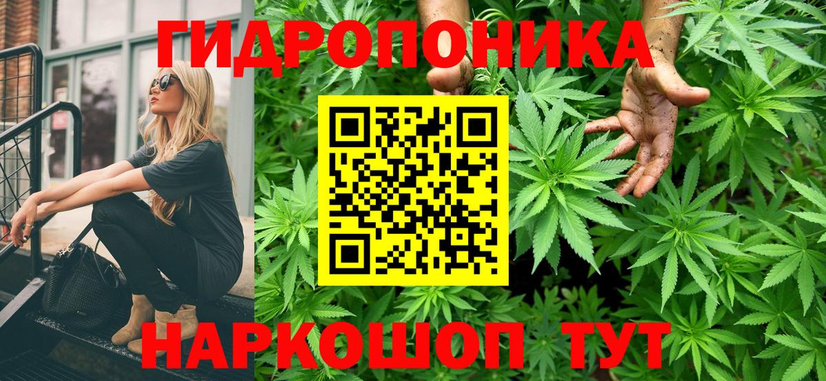 Конопля Amnesia Советская Гавань